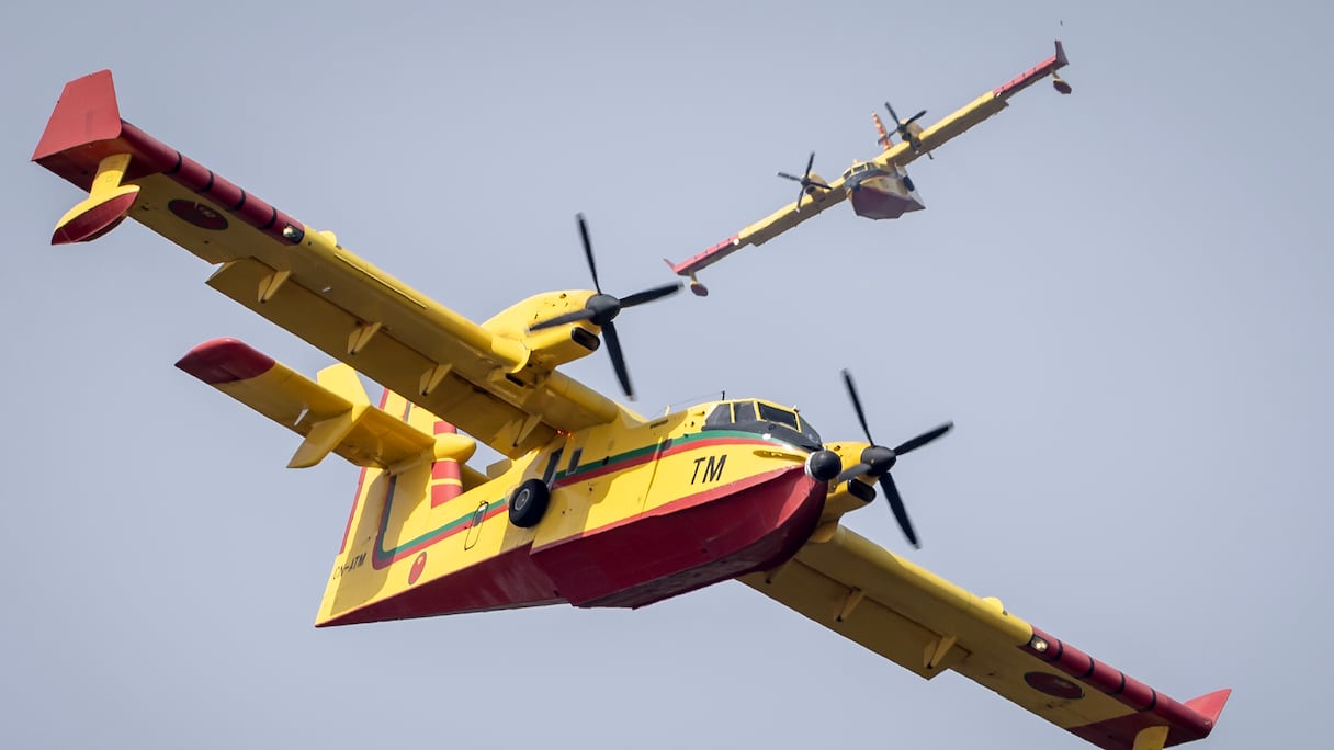 Des bombardiers Canadair à l'oeuvre pour éteindre un feu de forêt dans la région de Tanger, le 12 août 2023.